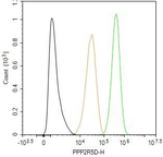 PPP2R5D Antibody in Flow Cytometry (Flow)