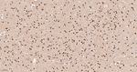 PPP2R5D Antibody in Immunohistochemistry (Paraffin) (IHC (P))