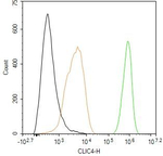 CLIC4 Antibody in Flow Cytometry (Flow)