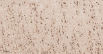 CLIC4 Antibody in Immunohistochemistry (Paraffin) (IHC (P))