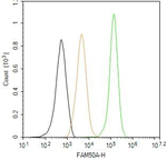 FAM50A Antibody in Flow Cytometry (Flow)