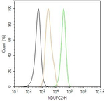 NDUFC2 Antibody in Flow Cytometry (Flow)