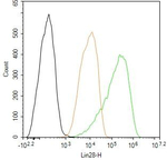 LIN28A Antibody in Flow Cytometry (Flow)