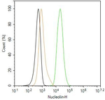 Nucleolin Antibody in Flow Cytometry (Flow)