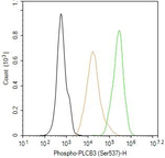 Phospho-PLCB3 (Ser537) Antibody in Flow Cytometry (Flow)