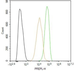 PREPL Antibody in Flow Cytometry (Flow)