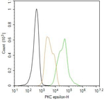 PKC epsilon Antibody in Flow Cytometry (Flow)