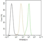 RPS6KB2 Antibody in Flow Cytometry (Flow)