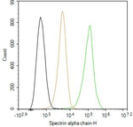 Spectrin alpha-1 Antibody in Flow Cytometry (Flow)