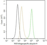 Ub-K48 Antibody in Flow Cytometry (Flow)