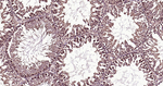 Ub-K48 Antibody in Immunohistochemistry (Paraffin) (IHC (P))