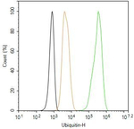 Ubiquitin Antibody in Flow Cytometry (Flow)