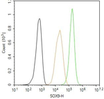 SOX9 Antibody in Flow Cytometry (Flow)