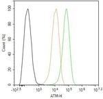 ATM Antibody in Flow Cytometry (Flow)