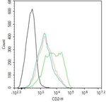 CD2 Recombinant Rabbit Monoclonal Antibody (16F3)