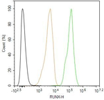 RUNX1/RUNX2/RUNX3 Antibody in Flow Cytometry (Flow)