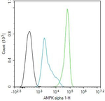 AMPK alpha-1 Antibody in Flow Cytometry (Flow)
