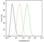 Cytokeratin 6 Antibody in Flow Cytometry (Flow)
