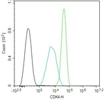 CDK4 Antibody in Flow Cytometry (Flow)