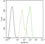 4EBP1 Antibody in Flow Cytometry (Flow)
