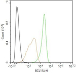 BCL11A Antibody in Flow Cytometry (Flow)