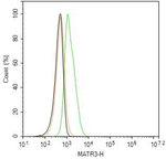 MATR3 Antibody in Flow Cytometry (Flow)