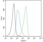 CD20 Antibody in Flow Cytometry (Flow)