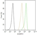 ACADM Antibody in Flow Cytometry (Flow)