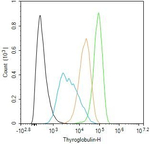 Thyroglobulin Antibody in Flow Cytometry (Flow)
