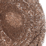 Bax Monoclonal Antibody (CL7919)