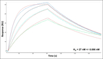 VSNL1 Antibody in Surface plasmon resonance (SPR)