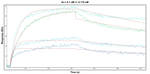 VPS72 Antibody in Surface plasmon resonance (SPR)