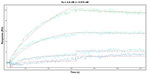 VPS72 Antibody in Surface plasmon resonance (SPR)
