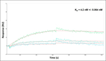 VCP Antibody in Surface plasmon resonance (SPR)