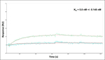 VCP Antibody in Surface plasmon resonance (SPR)