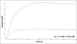 TPI1 Antibody in Surface plasmon resonance (SPR)