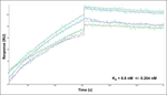 NOX2 Antibody in Surface plasmon resonance (SPR)