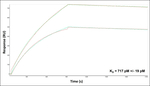 Kinesin 5A Antibody in Surface plasmon resonance (SPR)
