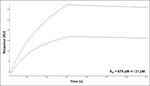 Kinesin 5A Antibody in Surface plasmon resonance (SPR)