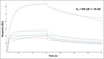 Gelsolin Antibody in Surface plasmon resonance (SPR)