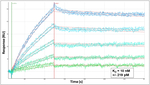 FTO Antibody in Surface plasmon resonance (SPR)
