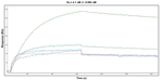 DDR2 Antibody in Surface plasmon resonance (SPR)