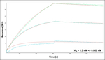 BMI-1 Antibody in Surface plasmon resonance (SPR)