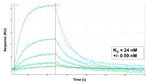 NFkB p50 Antibody in Surface plasmon resonance (SPR)