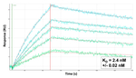 NFkB p50 Antibody in Surface plasmon resonance (SPR)