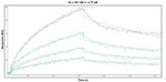 UBA1 Antibody in Surface plasmon resonance (SPR)