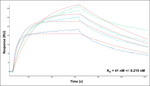 ARF1 Antibody in Surface plasmon resonance (SPR)