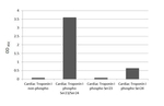 Phospho-Cardiac Troponin I (Ser23, Ser24) Antibody in ELISA (ELISA)