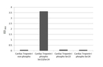 Phospho-Cardiac Troponin I (Ser23, Ser24) Recombinant Rabbit Monoclonal Antibody (HL3798)