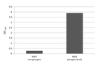 Phospho-YAP1 (Ser61) Antibody in ELISA (ELISA)